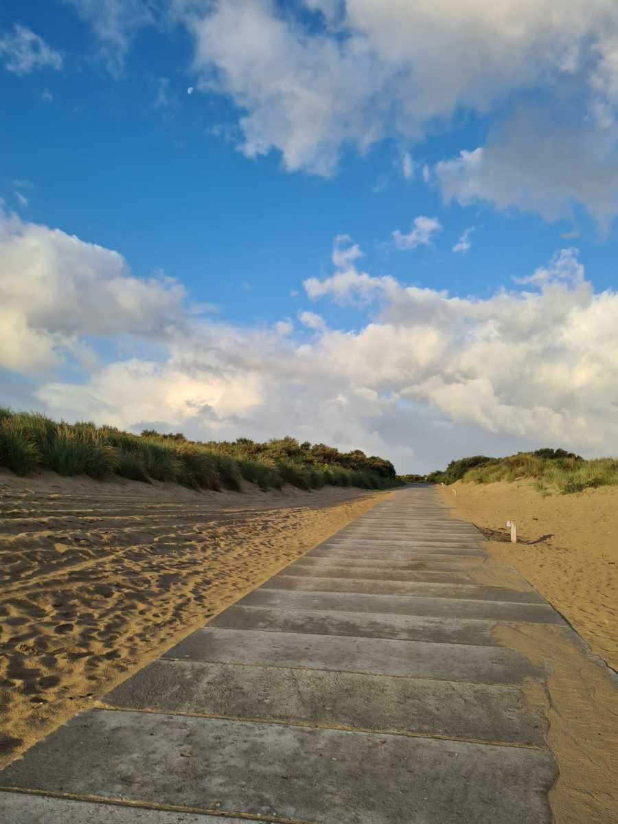 4a104632-36c7-477c-888d-9d9961fe0456