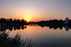 NMZW0506