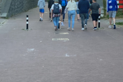 OPQS2497
